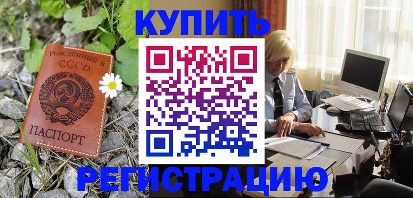временная регистрация недорого в Канске